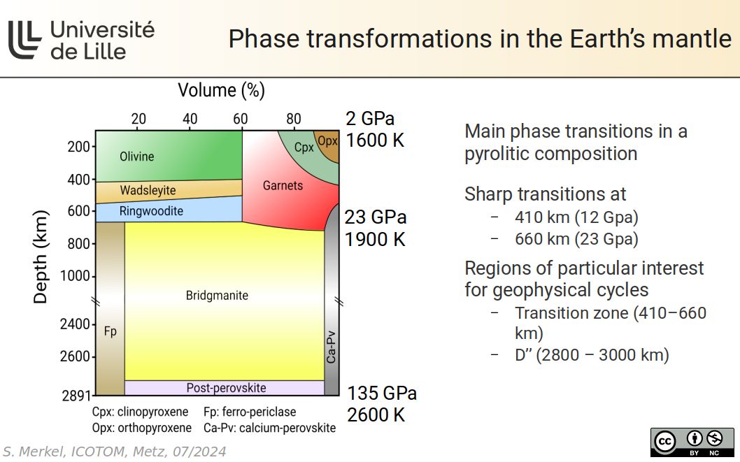 Phase transformations in the Earth’s mantle
